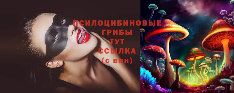 где найти наркотики  Йошкар-Ола  Галлюциногенные грибы MAGIC MUSHROOMS 